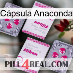 Cápsula Anaconda 33